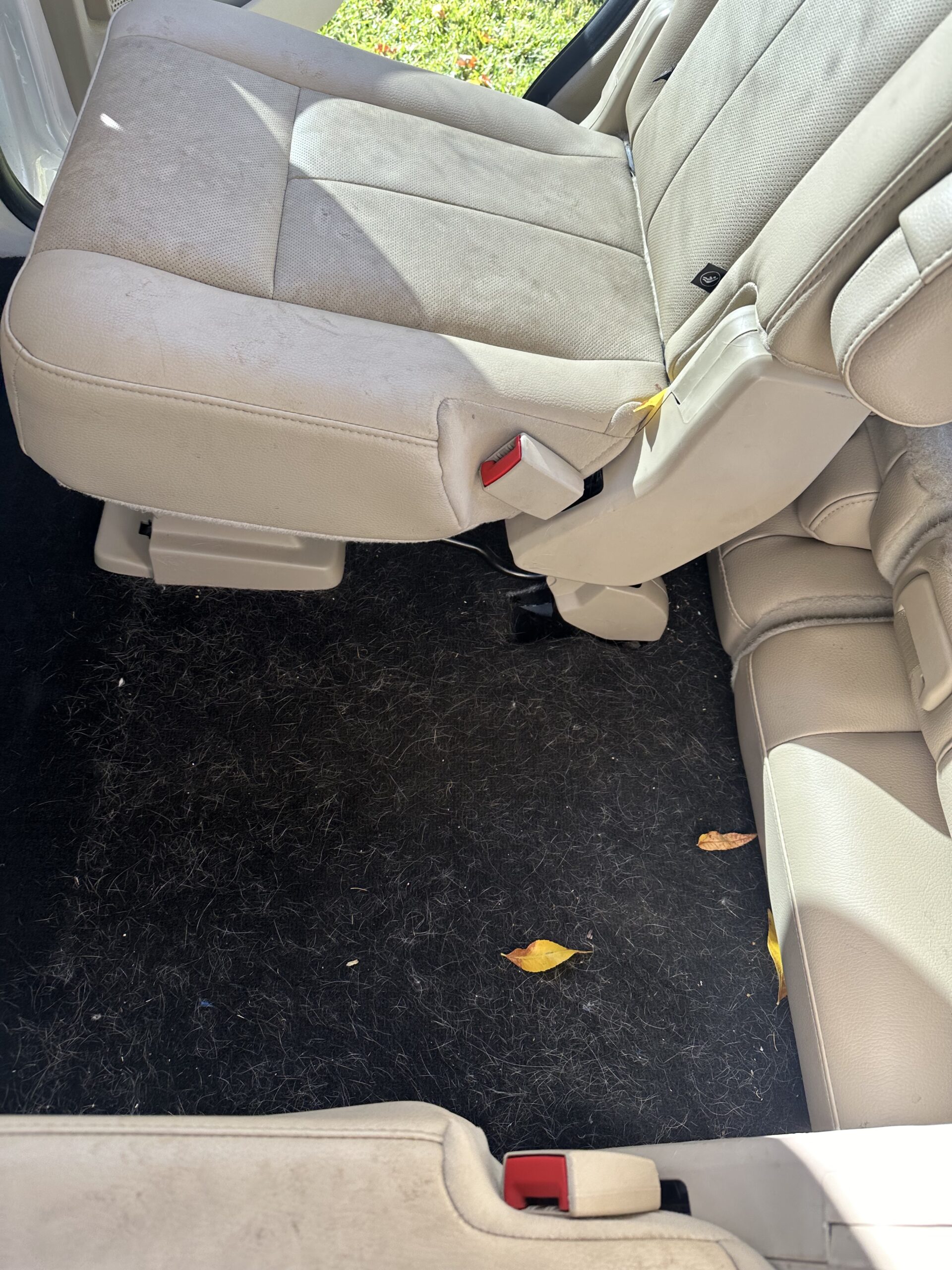 Before exterior detail Ford Aurora CO